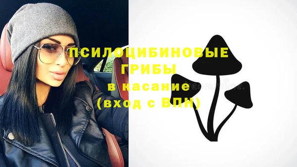 a pvp Зеленодольск
