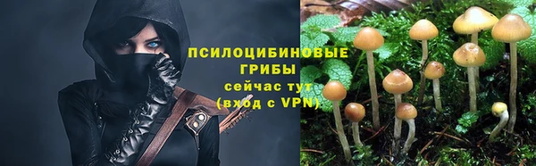a pvp Зеленодольск