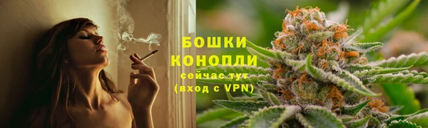 стафф Зерноград