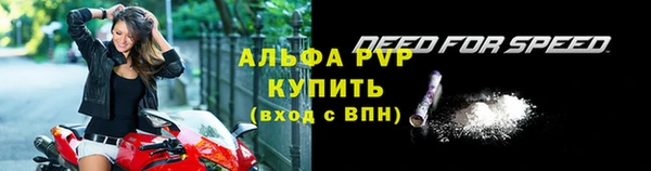 стафф Зерноград