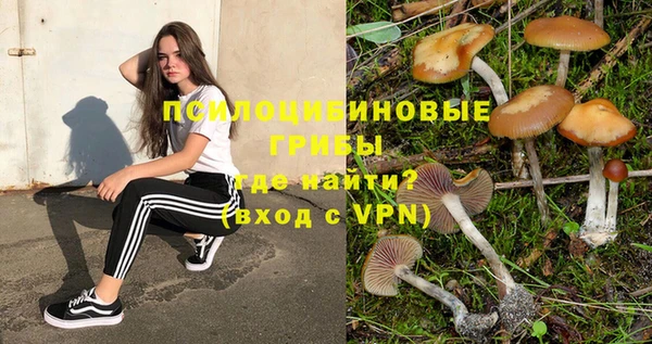 a pvp Зеленодольск