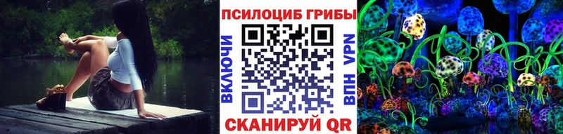 Псилоцибиновые грибы Psilocybine cubensis  Купить где  Зверево 